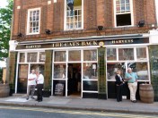 The Cat's Back... Front