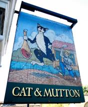 cat sign